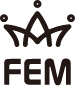FEM